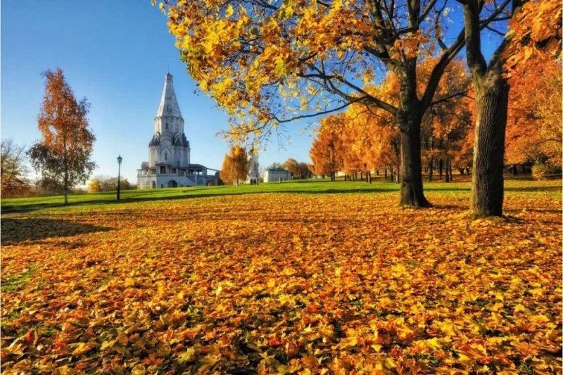 Приметы и поверья на 25 октября 2025 года, уберегающие от несчастий