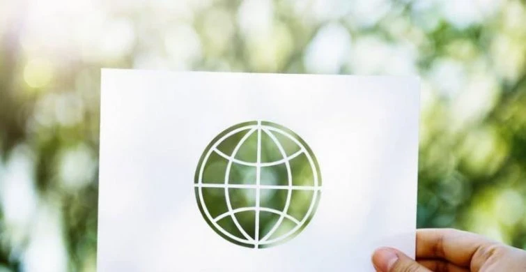 Празднование Дня без бумаги проходит во всей России 27 октября 2025 года