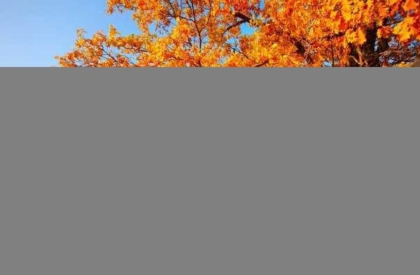 Чем примечателен день 28 октября 2025 года: приметы, поверья и традиции