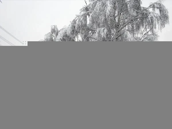 Основные задачи по подготовке любимой дачи к первому снегу: как сохранить имущество и уют