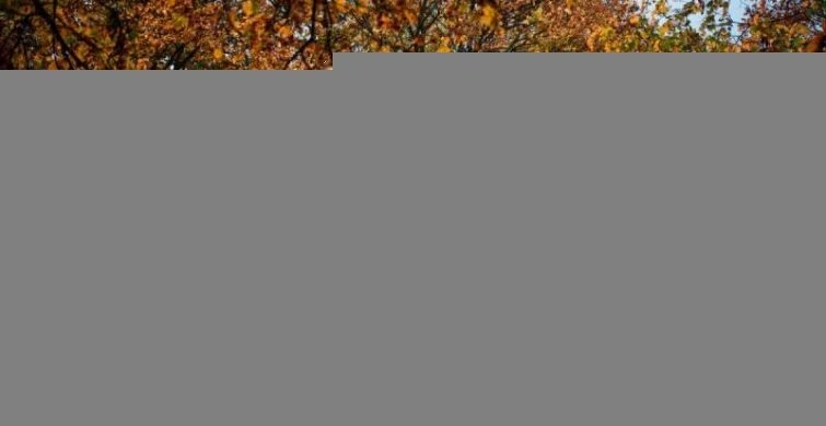 Традиции, обычаи и запреты в народно-христианский праздник 28 октября 2025 года