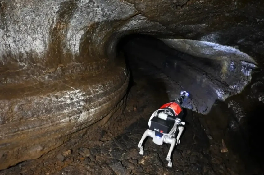 «Белка» и «Стрелка» XXI века: Китай собирается исследовать Луну робособаками