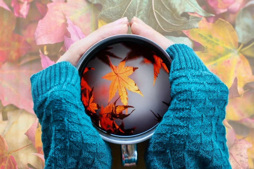 Какие правила нужно соблюдать, чтобы подготовить иммунитет к сезону простуд