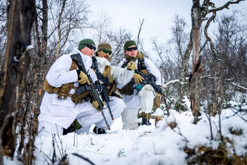 Десять норвежских военных потерялись на учениях по противодействию армии России