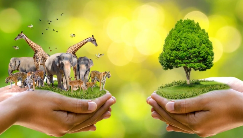 Какие праздники отмечают 6 октября 2025 года в России и мире