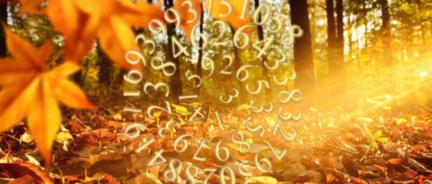 Пора радоваться жизни: нумерологический прогноз самых мощных дат в октябре 2025 года