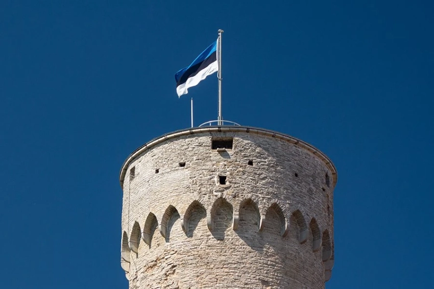 Эстонскую армию пугает военная бравада руководства страны 