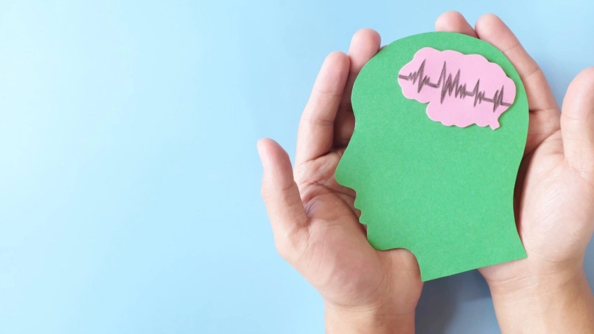 Какие праздники отмечаются 10 октября 2025 года в России и мире