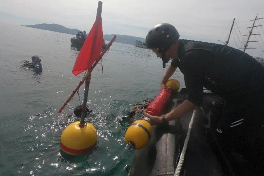 За подготовку украинских сапёров взялись японские инструкторы