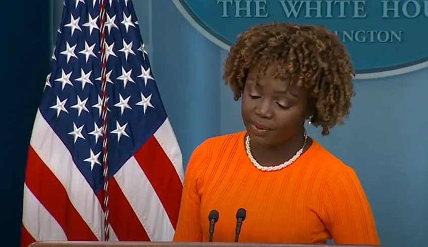 Книга Жан-Пьер: Демпартия в 2024 провела «расстрельную» кампанию против Байдена