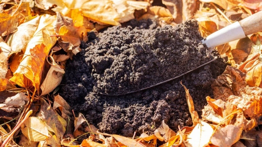 Самые губительные удобрения: что строго запрещено вносить в почву осенью