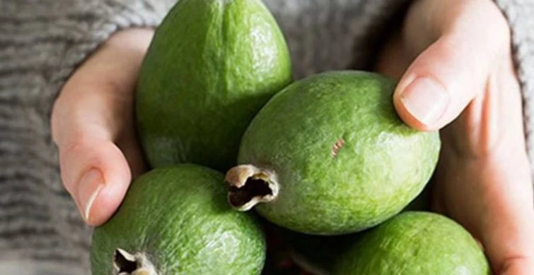 Фейхоа и йод: кто должен добавить этот фрукт в свой рацион?