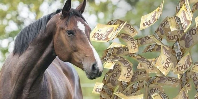 Пора брать инициативу в свои руки: большой денежный гороскоп на 2026 год для всех знаков зодиака