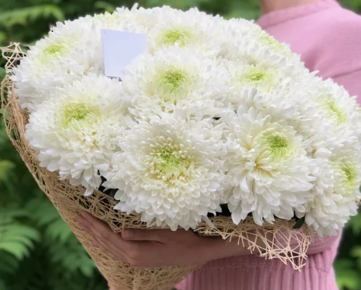 Тяжелая символика: 6 цветов, которые нельзя дарить на первом свидании, чтобы не испортить карму и не убить любовь