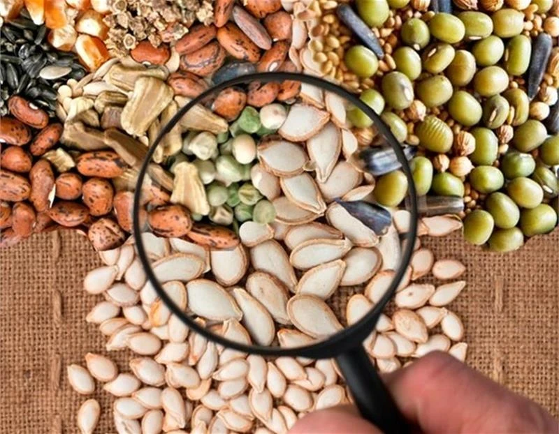 Подбираем семена грамотно: на что обратить внимание огородникам