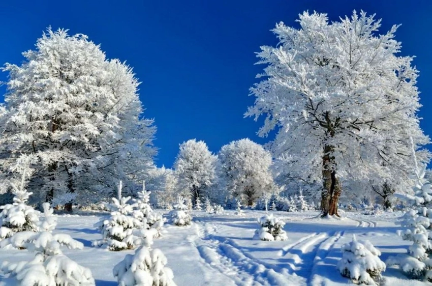 Традиции и ритуалы на Парамона Зимоуказателя 12 декабря 2025 года помогут людям защитить свой дом от невзгод