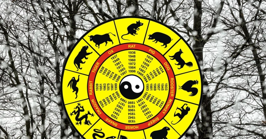 Важно вовремя остановиться: восточный гороскоп на неделю с 15 по 21 декабря 2025 года