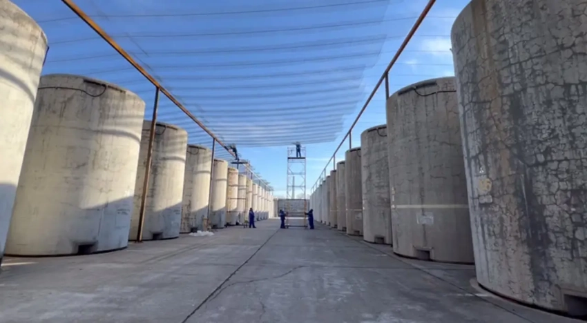 Вопросы радиуса: МАГАТЭ заявляет о консультациях с Киевом и Москвой по ЗАЭС