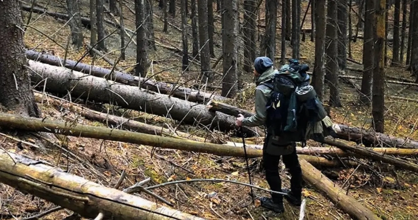 Белоруссия стала самым популярным направлением для побега мужчин с Украины