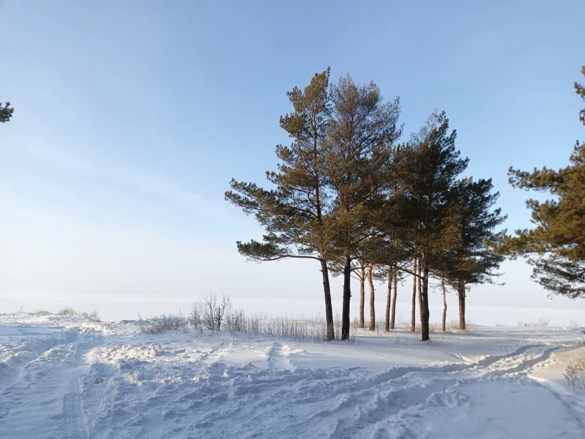 Когда растает снег в России в 2026 году?