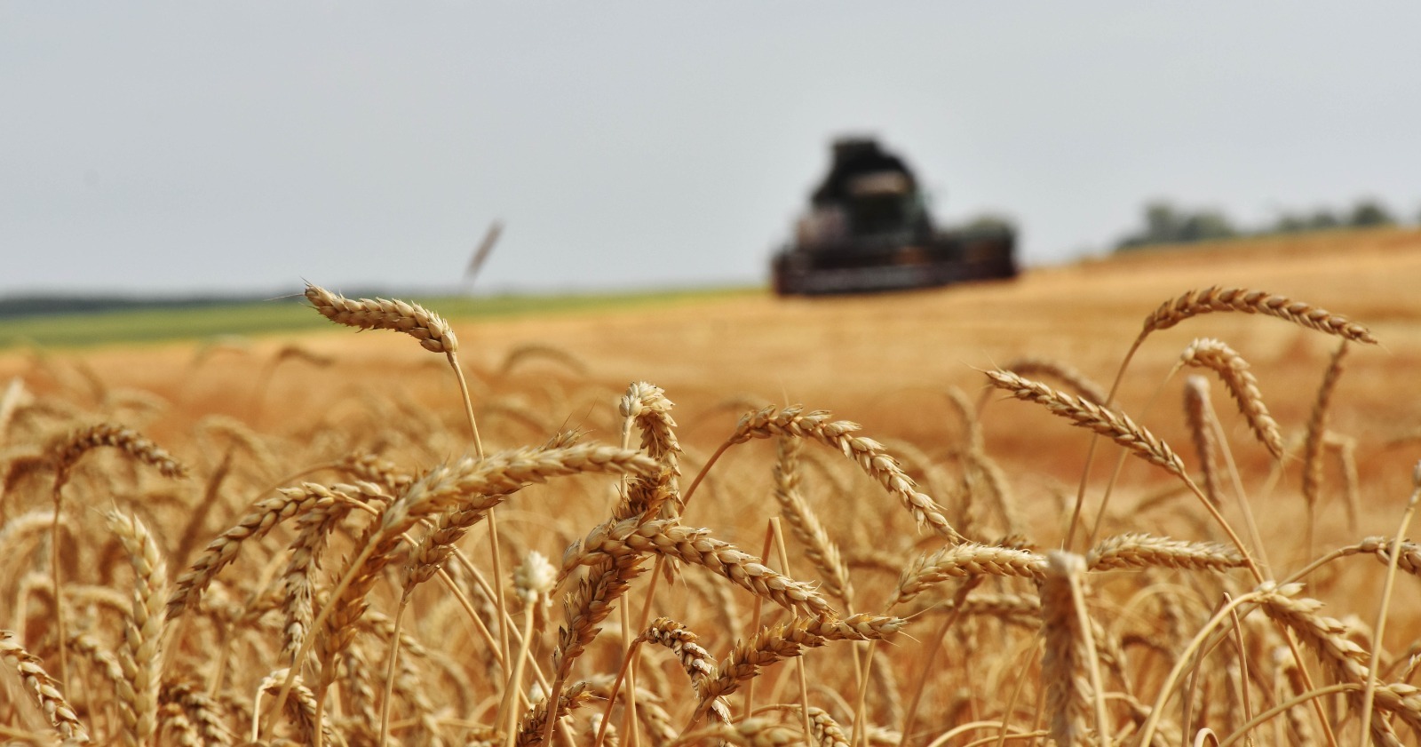 Приметы, традиции, обряды, что можно и что нельзя делать в праздник Ольги Страдницы, 24 июля 2025 года