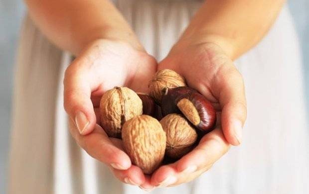 Православный мир будет отмечать 29 августа 2024 года Ореховый Спас